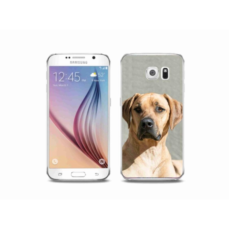 Gél védőhuzat mmCase Samsung Galaxy S6 készülékhez - ridgeback