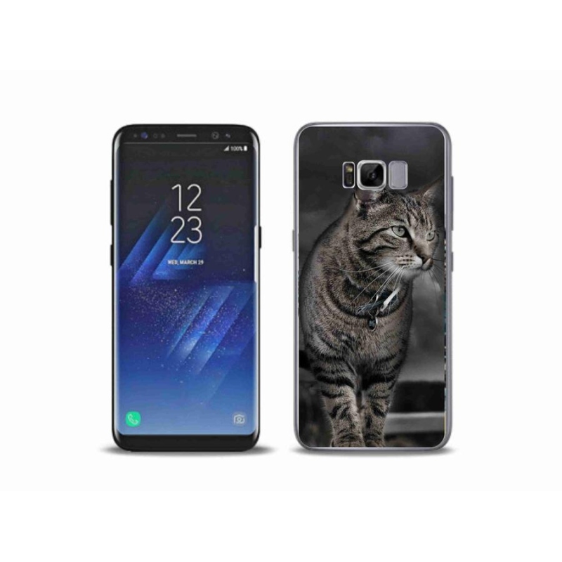 Zselés borítás mmCase Samsung Galaxy S8 Plus készülékhez - macska