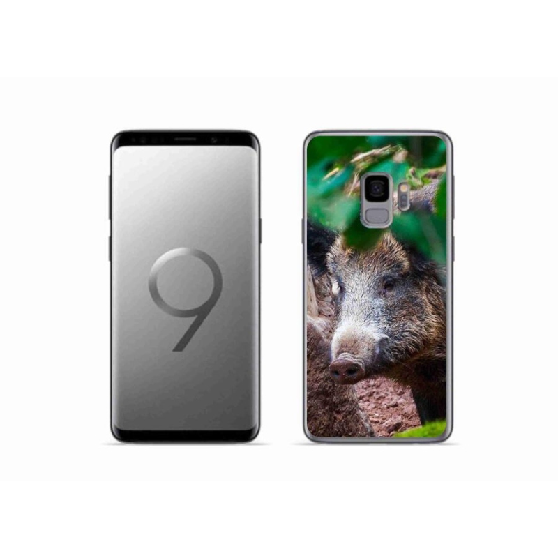 Gél borítás mmCase Samsung Galaxy S9 készülékhez - vaddisznó