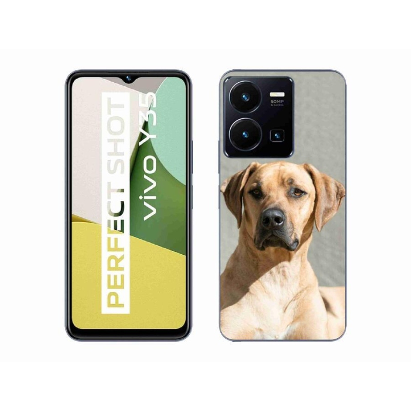 Gél borítás mmCase a Vivo Y35 készülékhez - ridgeback