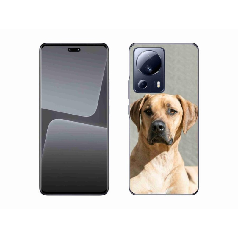 Gél borítás mmCase a Xiaomi 13 Lite-hoz - ridgeback
