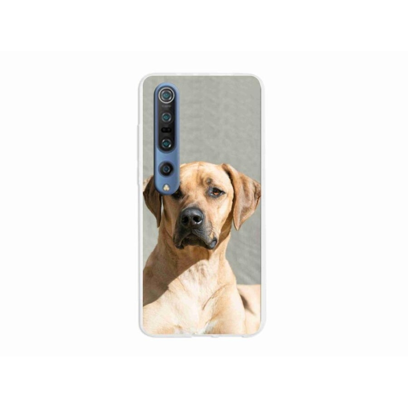 Gél borítás mmCase a Xiaomi Mi 10 Pro készülékhez - ridgeback