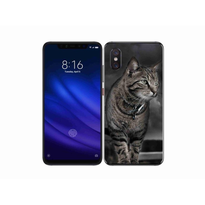Gél borítás mmCase a Xiaomi Mi 8 Pro-hoz - macska