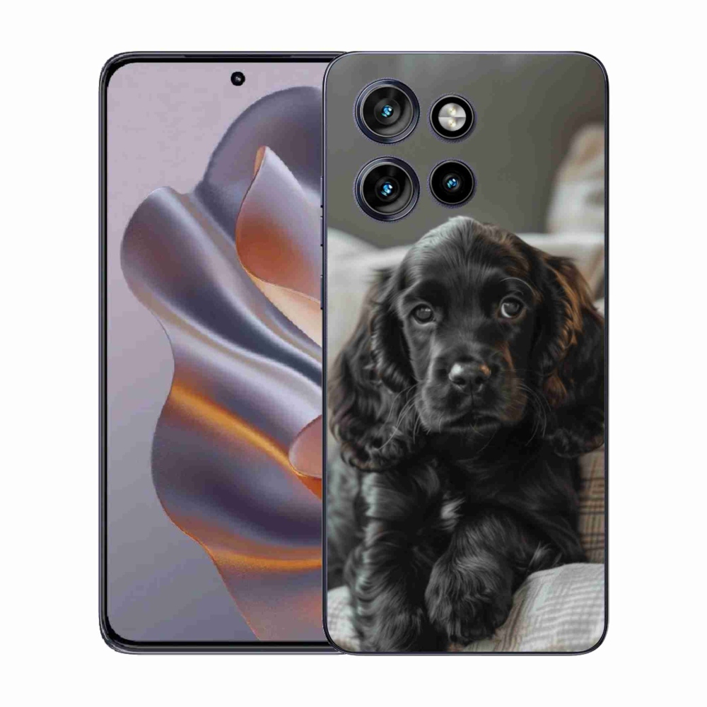 Zselés borítás mmCase a Motorola Edge 50 Neo készülékhez - English Cocker Spaniel