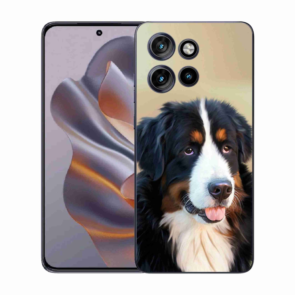 Zselés borítás mmCase a Motorola Edge 50 Neo készülékhez - Berni hegyi kutya