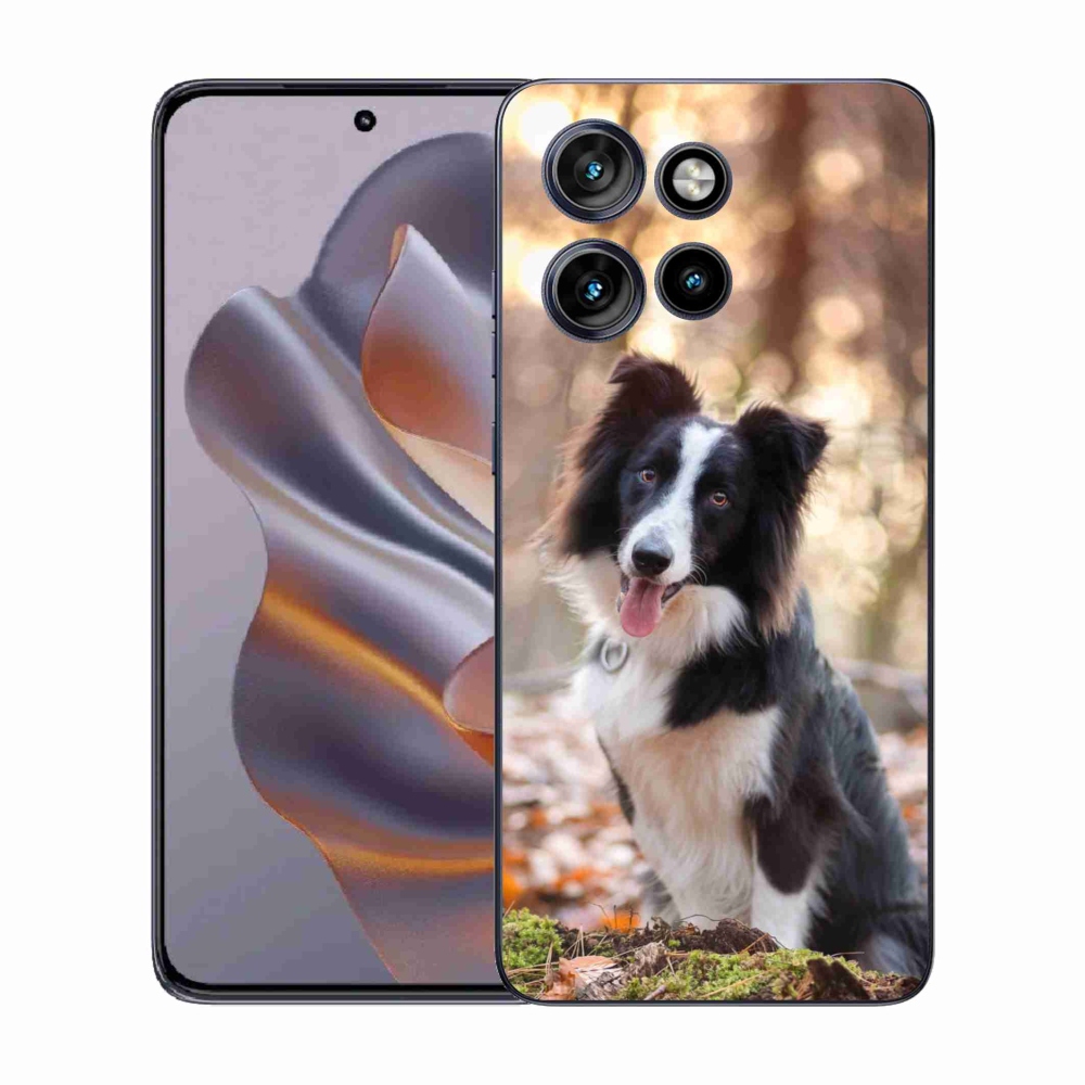 Zselés borító mmCase a Motorola Edge 50 Neo készülékhez - border colie 1