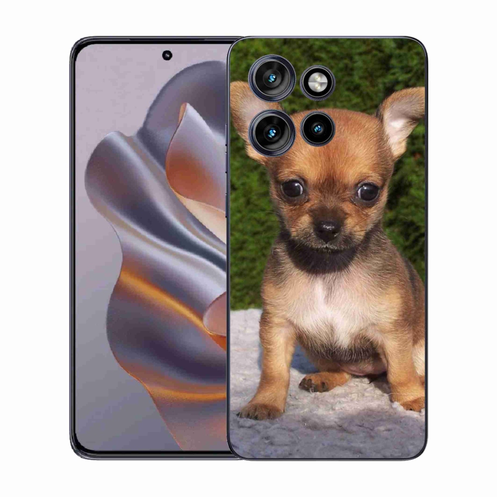 Zselés borítás mmCase a Motorola Edge 50 Neo készülékhez - chihuahua 3