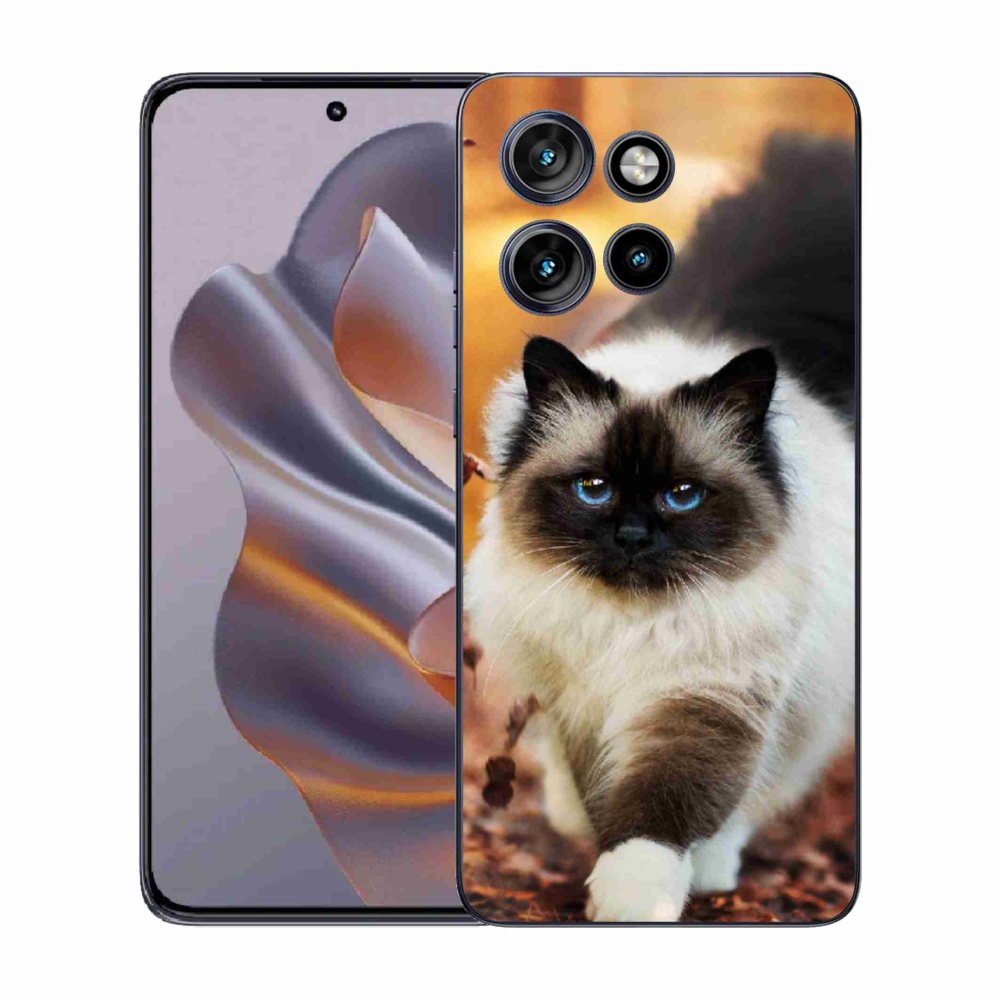 Zselés borítás mmCase a Motorola Edge 50 Neo készülékhez - cat