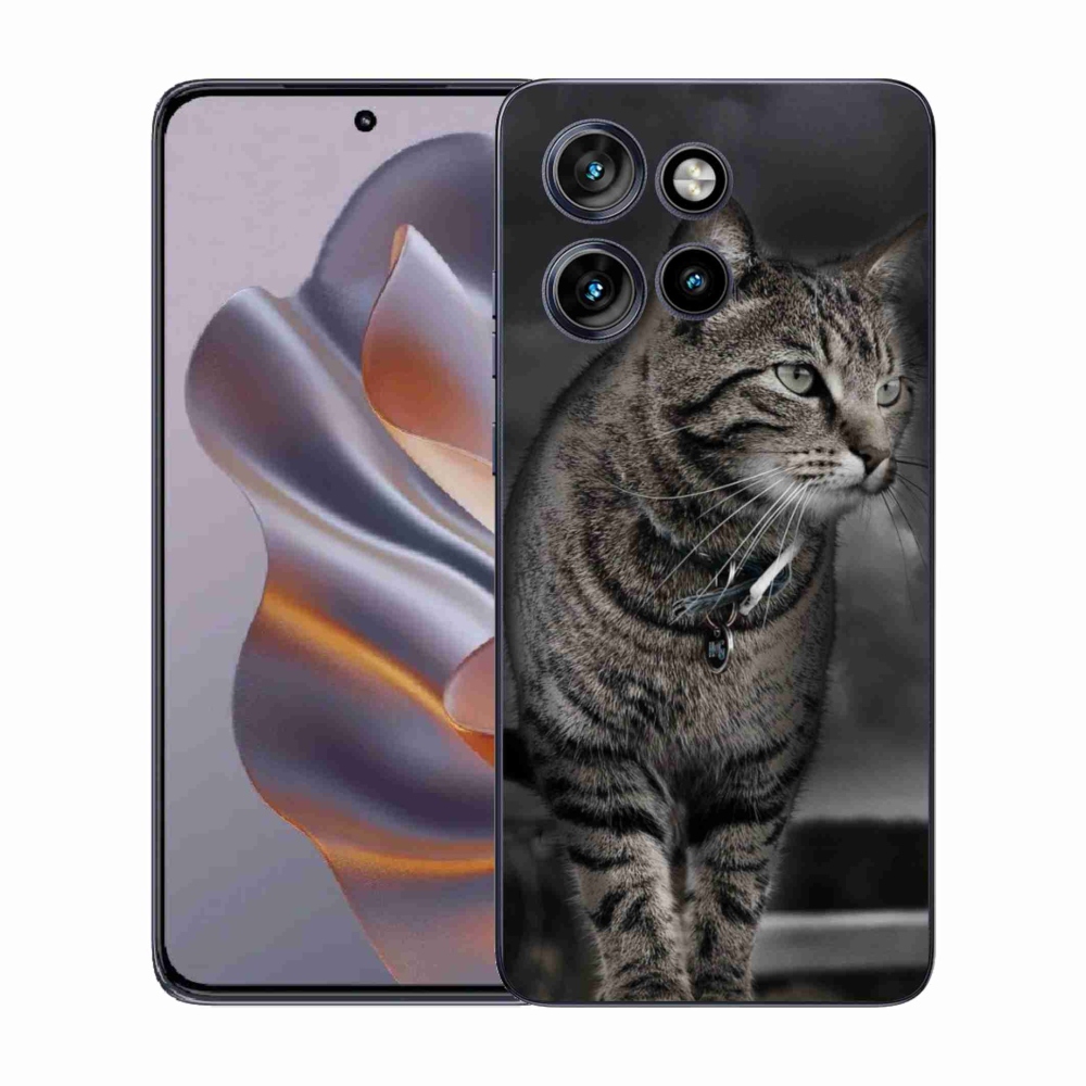 Zselés borítás mmCase a Motorola Edge 50 Neo készülékhez - cat