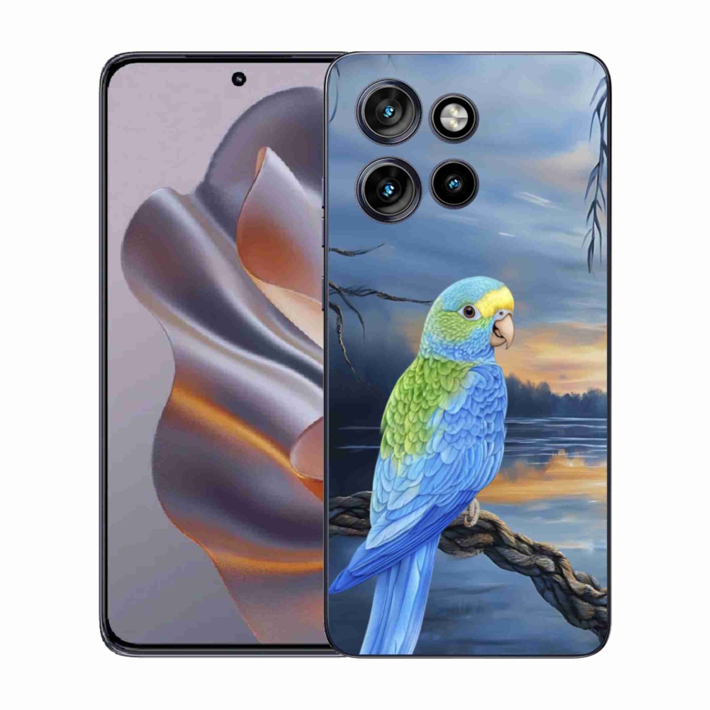 Zselés tok mmCase Motorola Edge 50 Neo készülékhez - kék papagáj