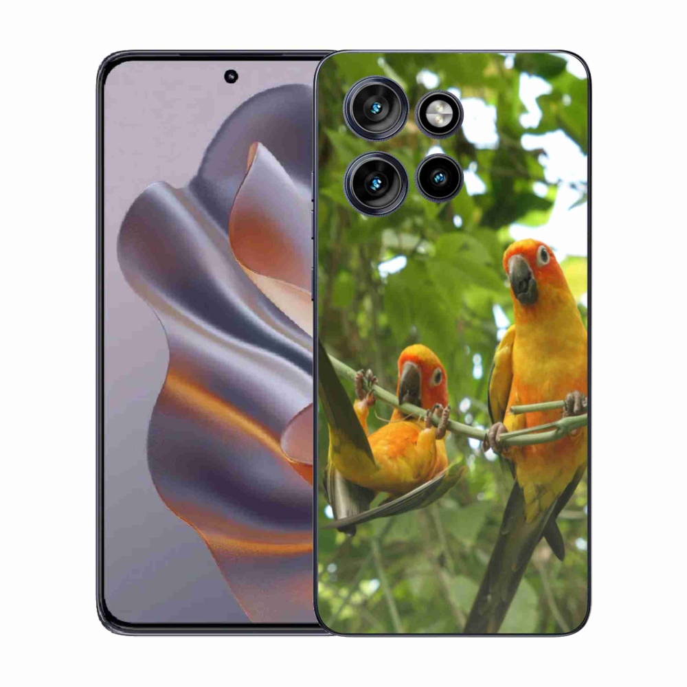 Zselés borítás mmCase a Motorola Edge 50 Neo készülékhez - papagájok aratingy