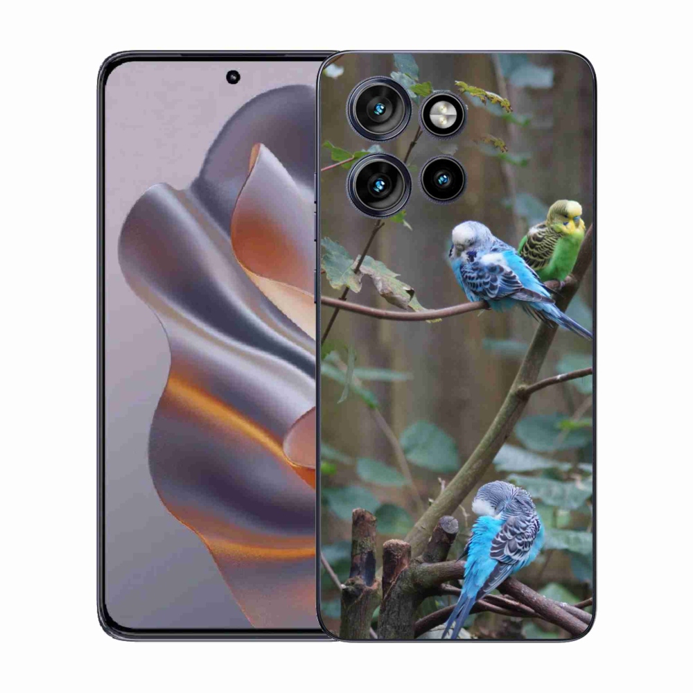 Zselés borítás mmCase a Motorola Edge 50 Neo készülékhez - papagájok az ágon