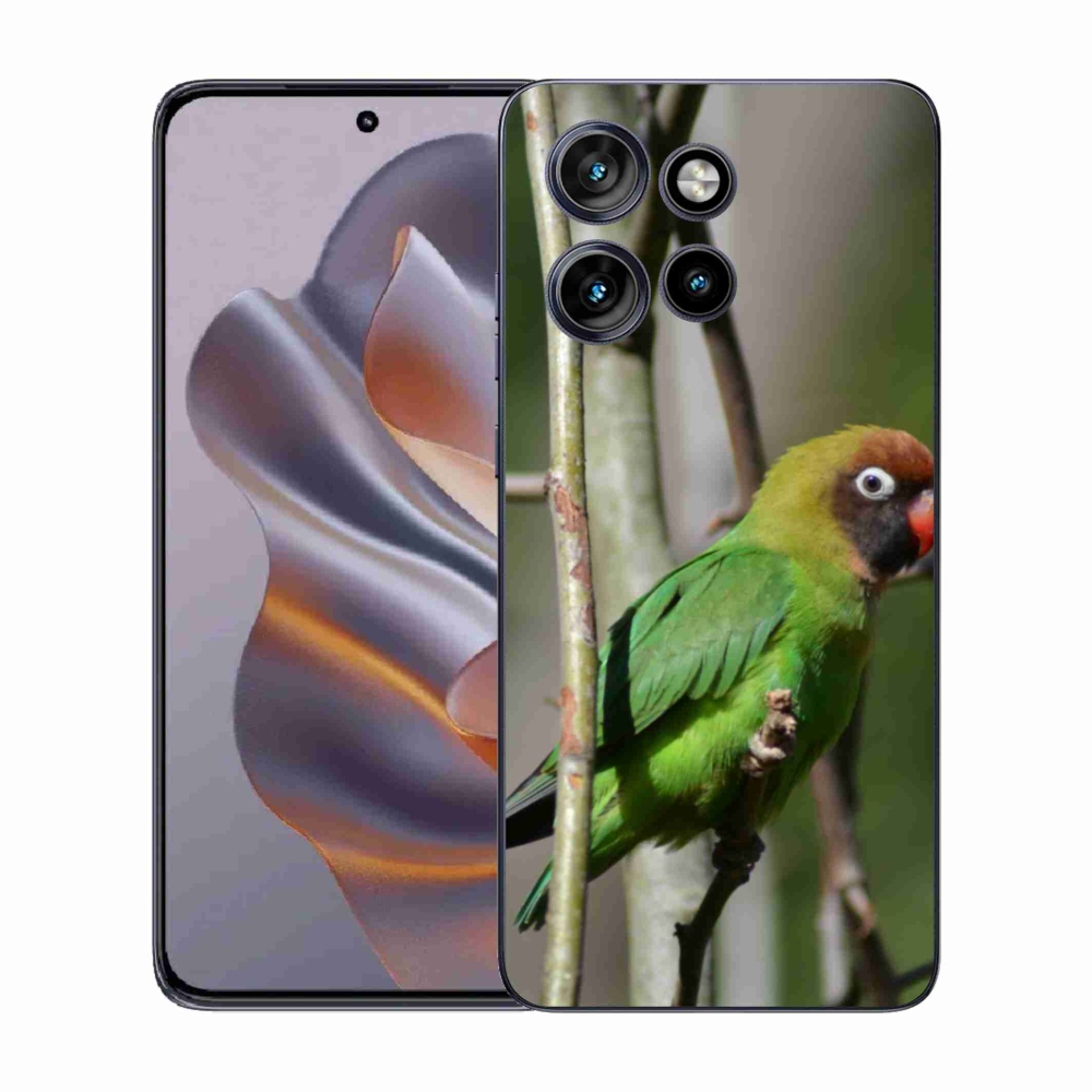 Gél borítás mmCase a Motorola Edge 50 Neo készülékhez - papagáj agapornis
