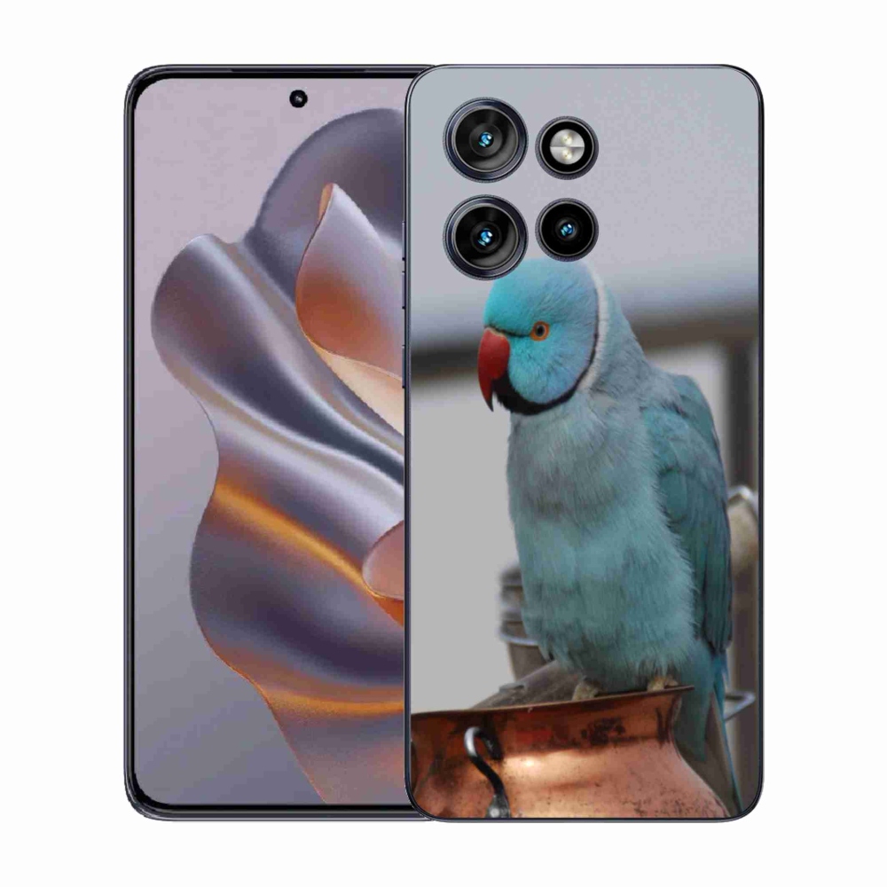 Zselés borítás mmCase Motorola Edge 50 Neo készülékhez - papagáj alexander kék