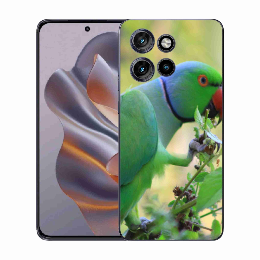 Zselés borítás mmCase a Motorola Edge 50 Neo készülékhez - parrot alexandr