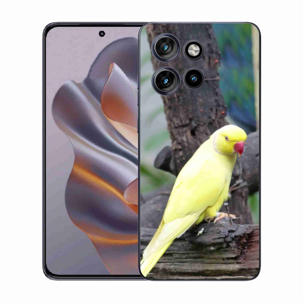 Zselés borítás mmCase Motorola Edge 50 Neo készülékhez - papagáj alexander sárga