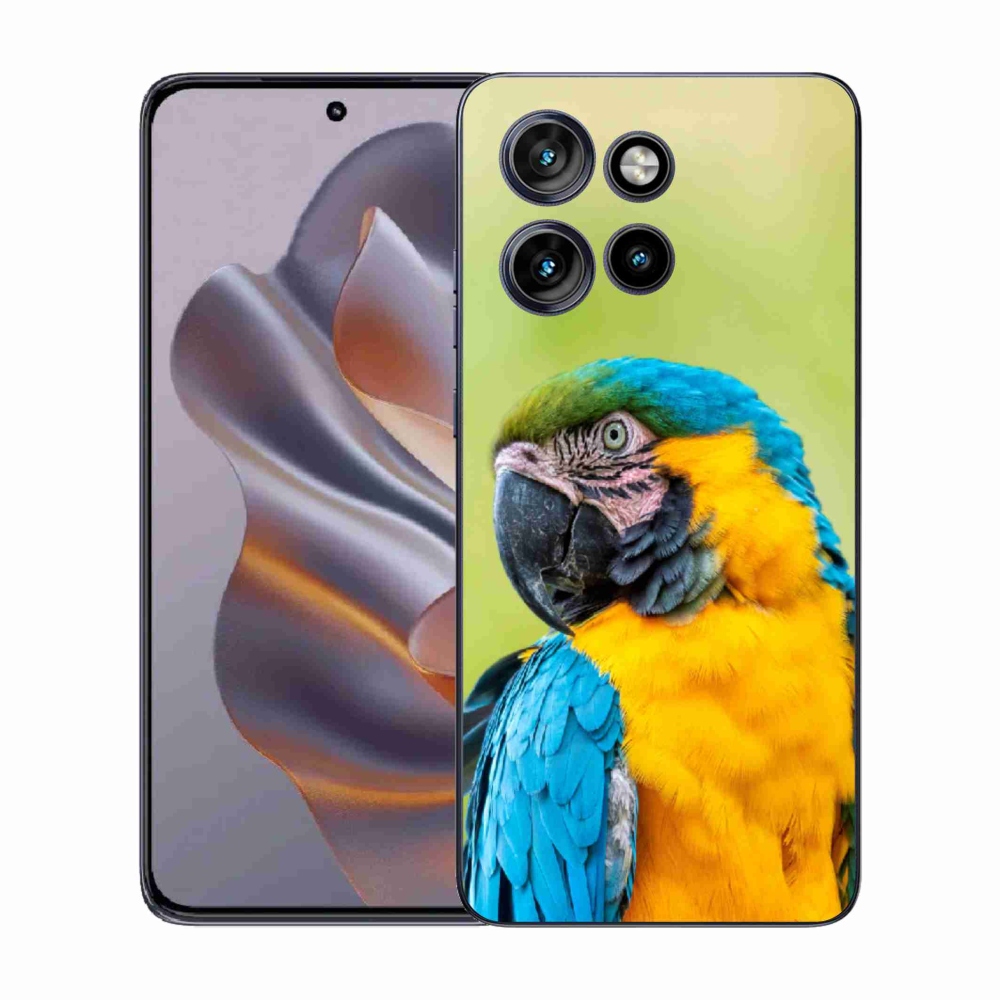 Gél borítás mmCase a Motorola Edge 50 Neo készülékhez - parrot ara 2