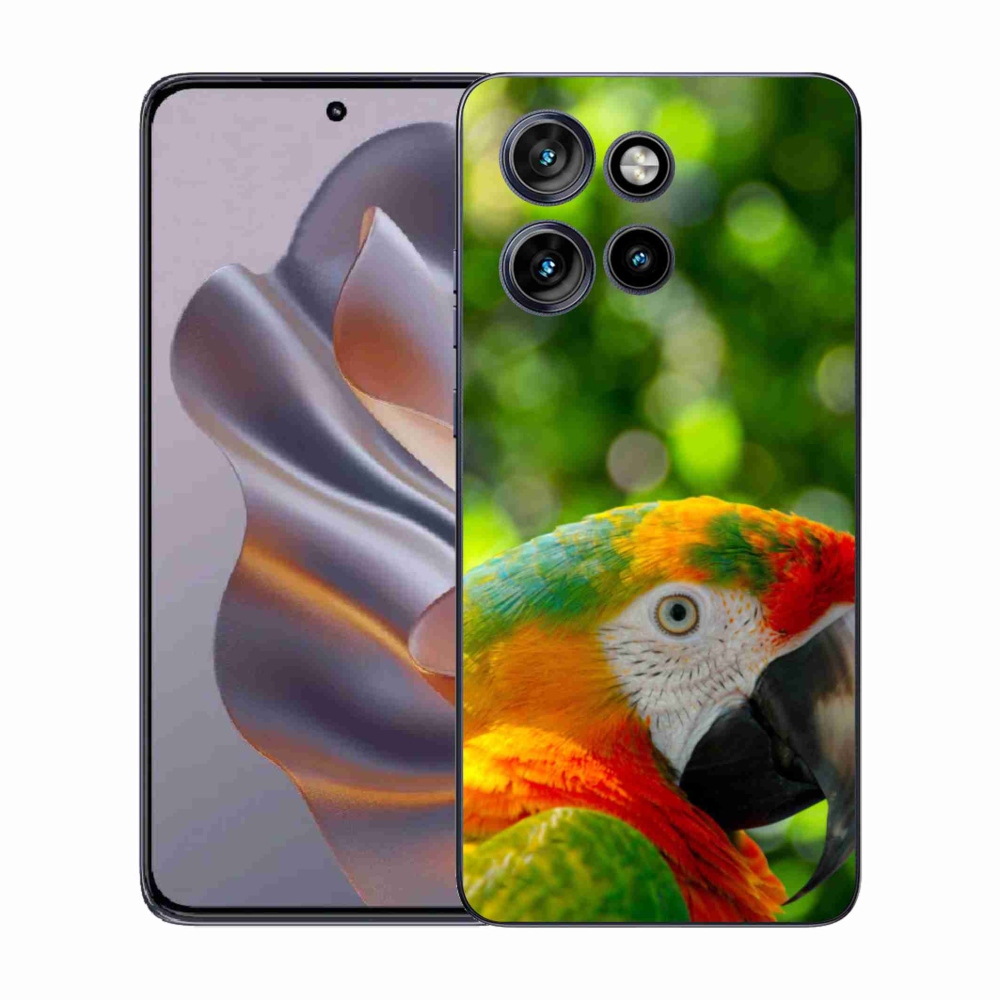 Zselés borítás mmCase a Motorola Edge 50 Neo készülékhez - papagáj ara 3