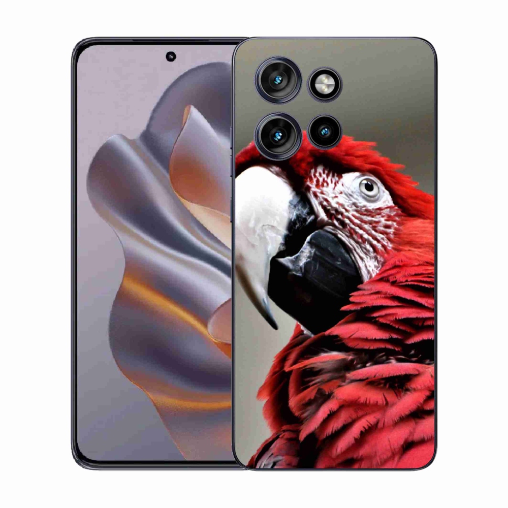 Zselés borítás mmCase a Motorola Edge 50 Neo készülékhez - papagáj ara piros