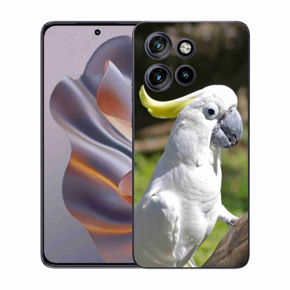 Zselés borítás mmCase a Motorola Edge 50 Neo készülékhez - papagáj kakadu 2