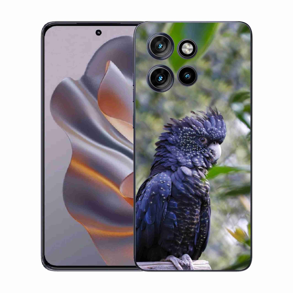 Zselés borítás mmCase a Motorola Edge 50 Neo készülékhez - papagáj kakadu fekete
