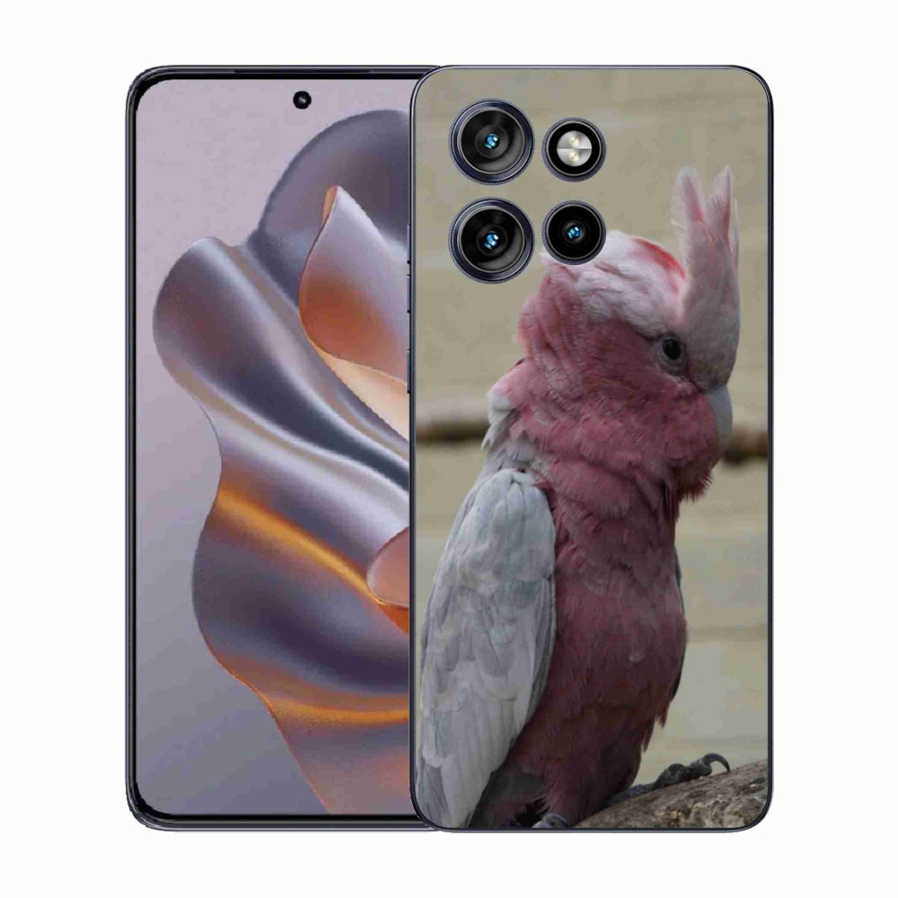 Zselés borítás mmCase a Motorola Edge 50 Neo készülékhez - papagáj kakadu rózsaszínű