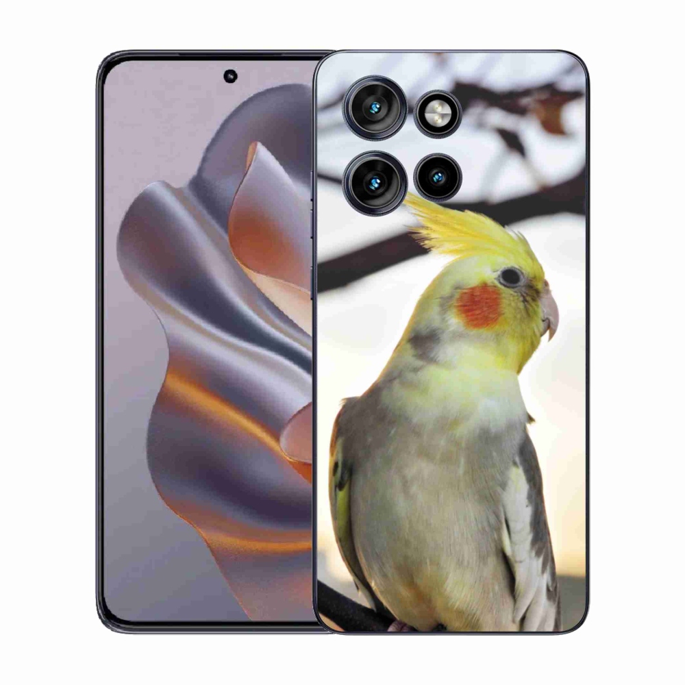 Zselés borítás mmCase a Motorola Edge 50 Neo készülékhez - papagáj korela