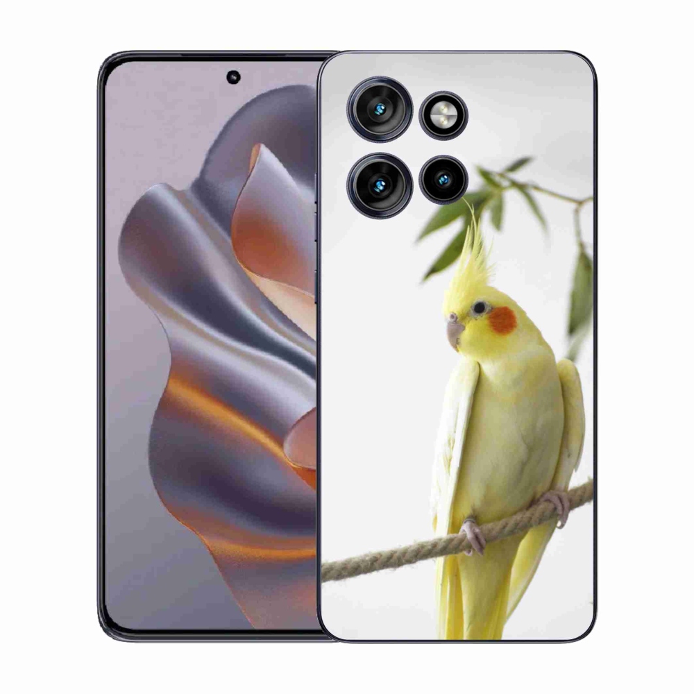 Zselés borítás mmCase a Motorola Edge 50 Neo készülékhez - papagáj korall színben