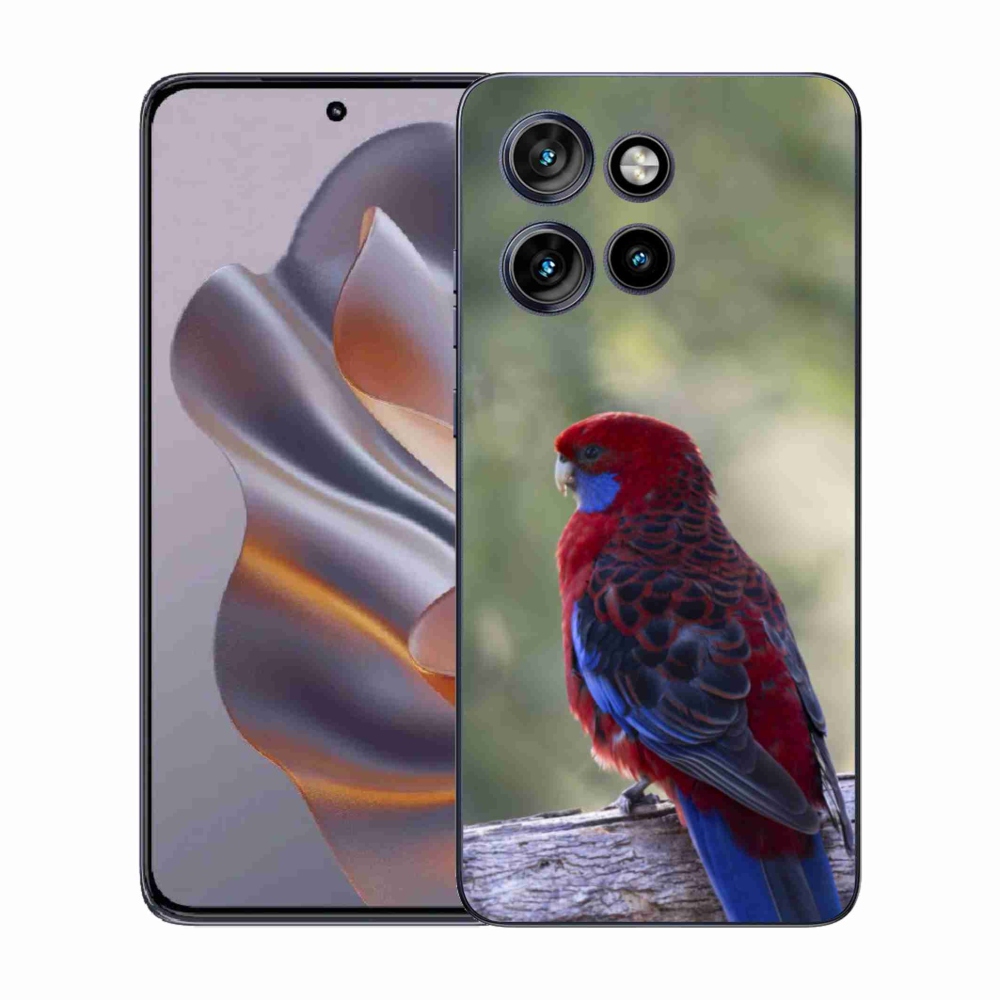 Zselés borítás mmCase a Motorola Edge 50 Neo készülékhez - papagáj rosela