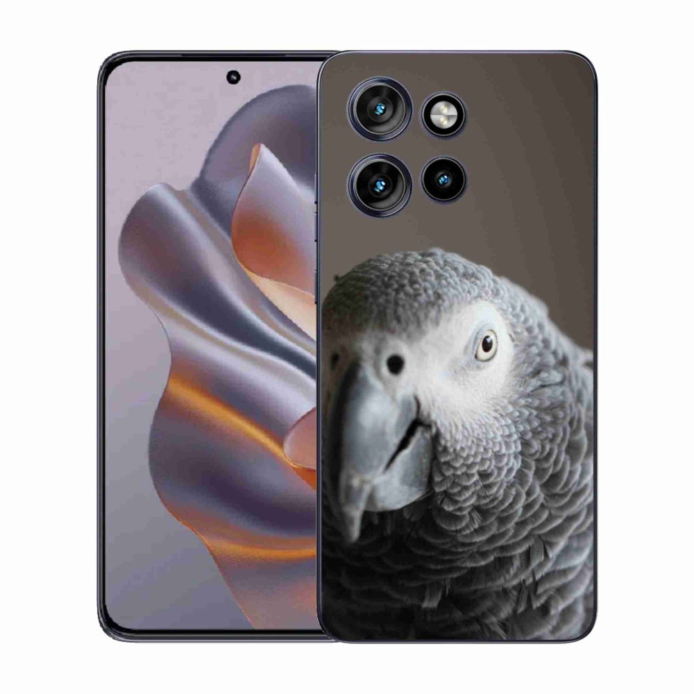 Zselés borítás mmCase a Motorola Edge 50 Neo készülékhez - parrot jacko 2