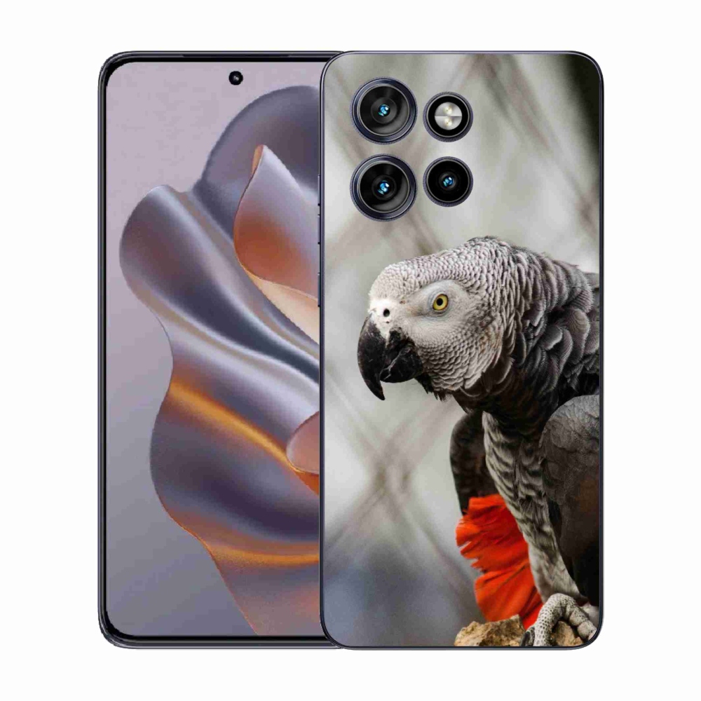 Zselés borítás mmCase a Motorola Edge 50 Neo készülékhez - parrot jacko 3