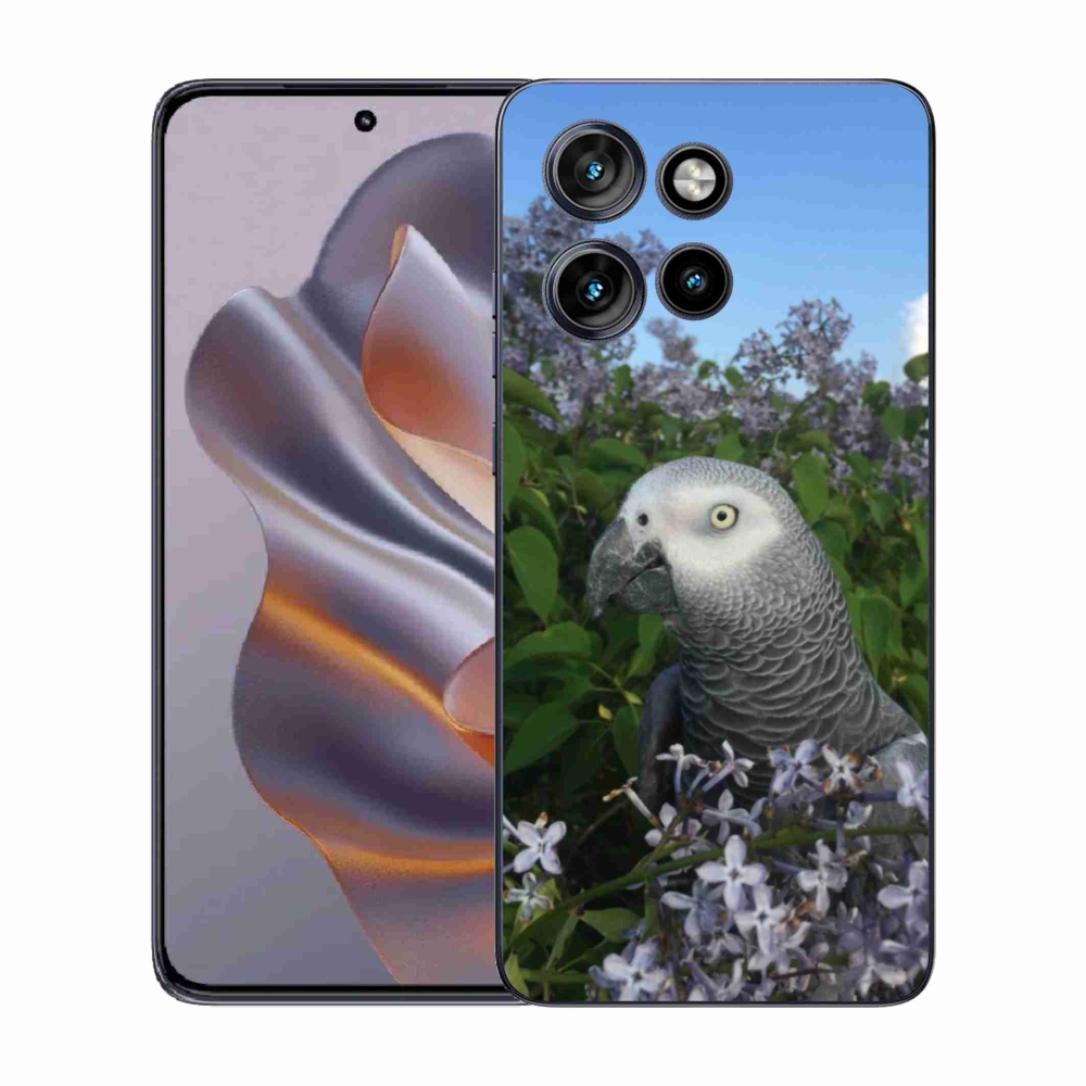 Zselés borítás mmCase a Motorola Edge 50 Neo készülékhez - papagáj jacko