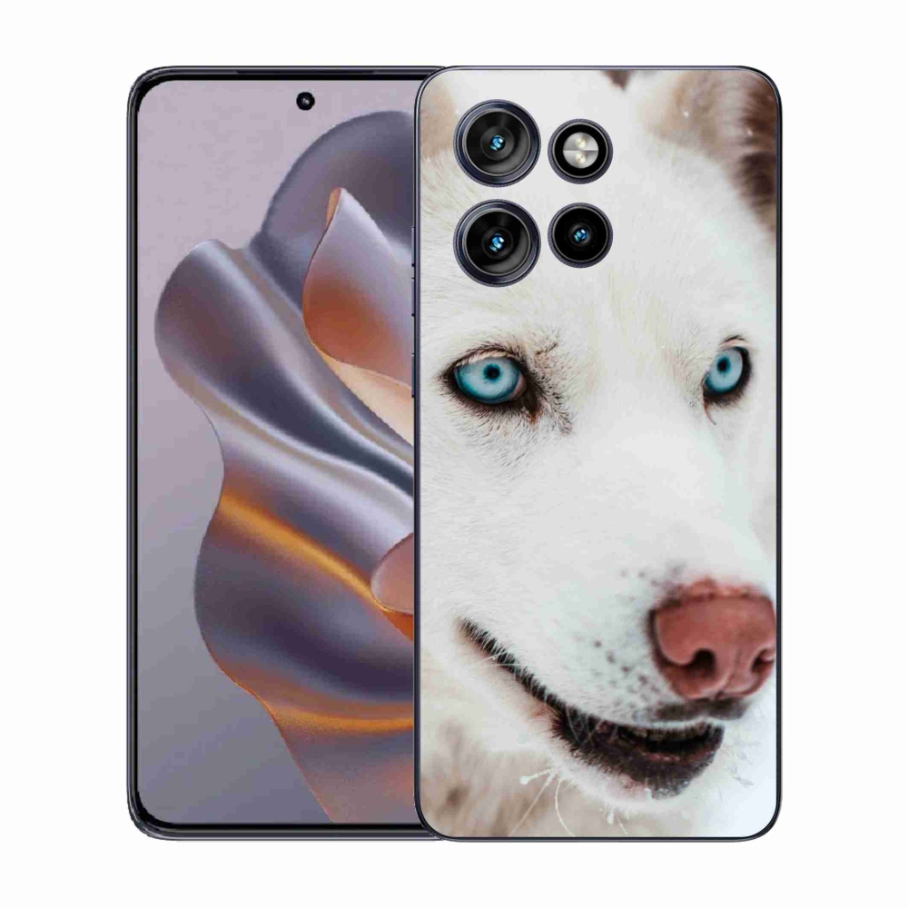 Zselés borítás mmCase a Motorola Edge 50 Neo készülékhez - kutyaszemmel nézve