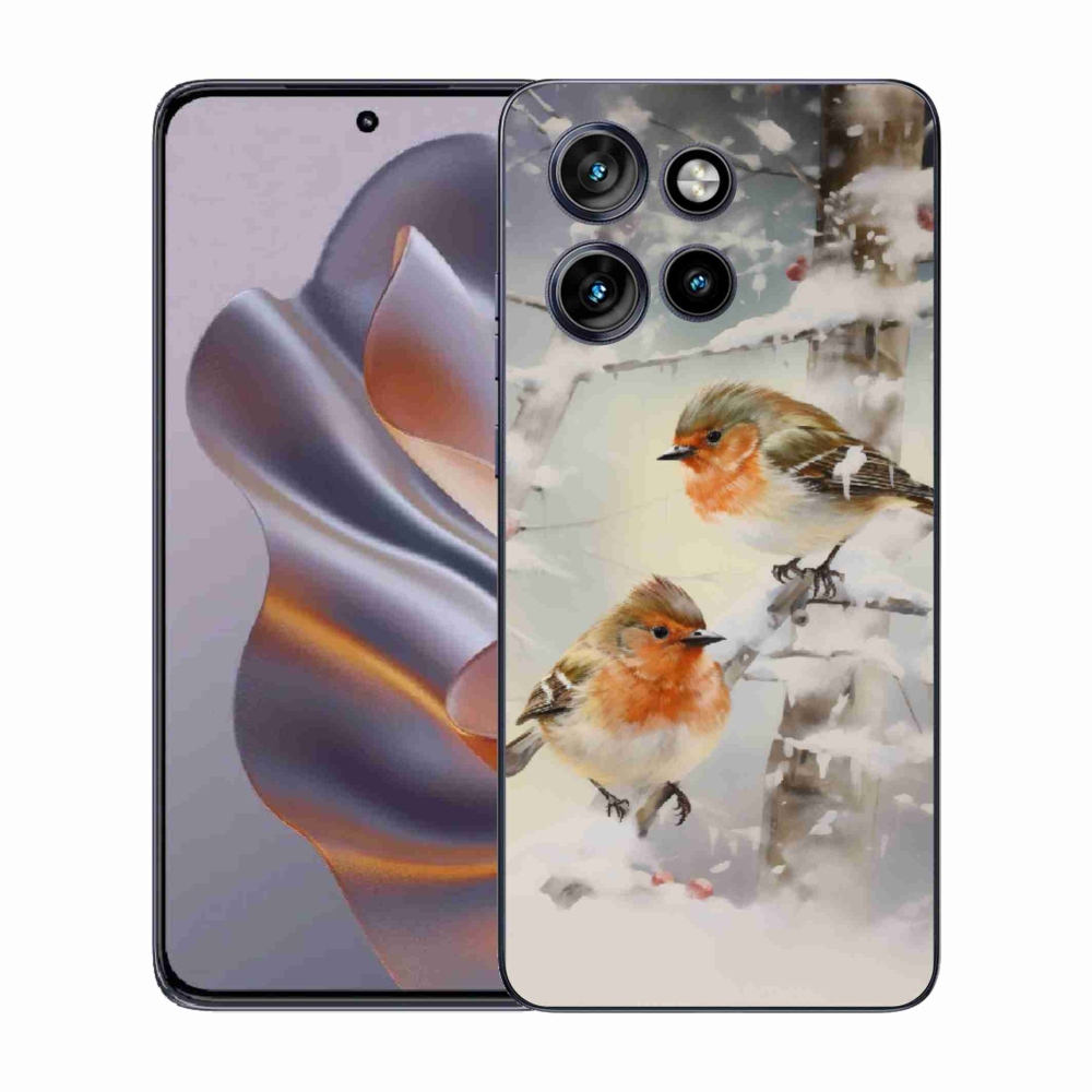 Zselés borítás mmCase a Motorola Edge 50 Neo készülékhez - madarak télen