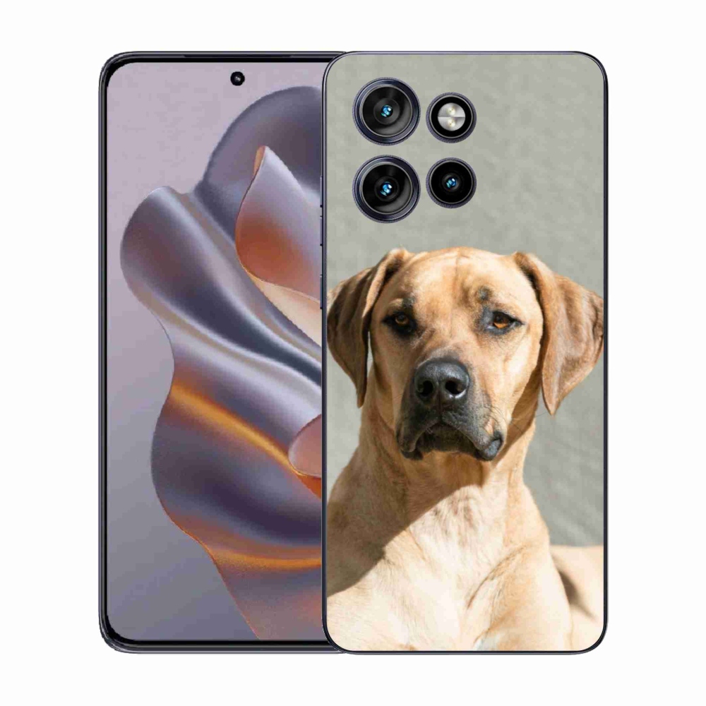 Zselés borítás mmCase a Motorola Edge 50 Neo készülékhez - ridgeback