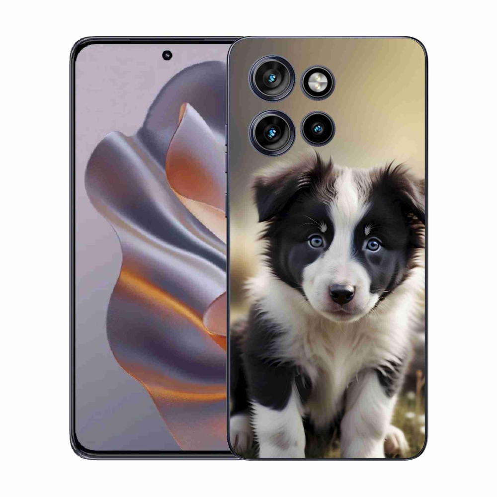 Zselés borítás mmCase a Motorola Edge 50 Neo készülékhez - aranyos border collie