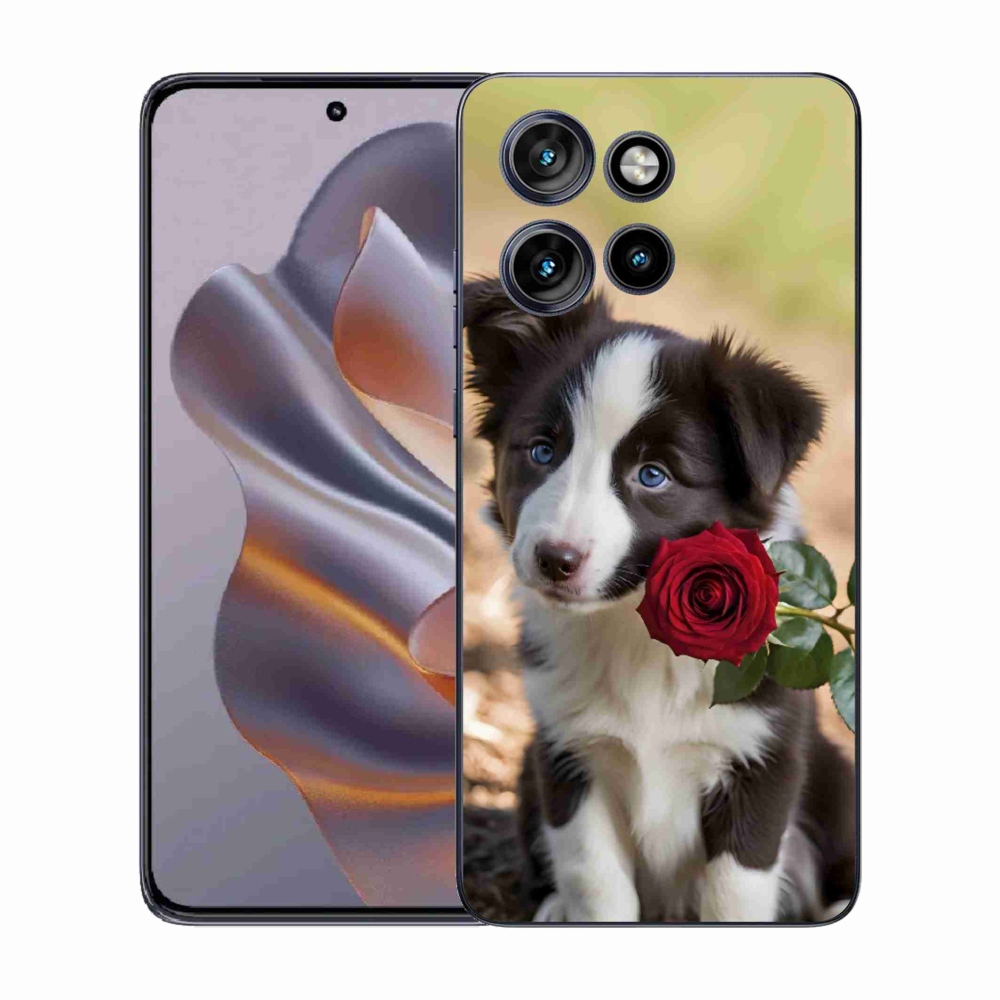 Gél borító mmCase a Motorola Edge 50 Neo készülékhez - aranyos border collie rózsával