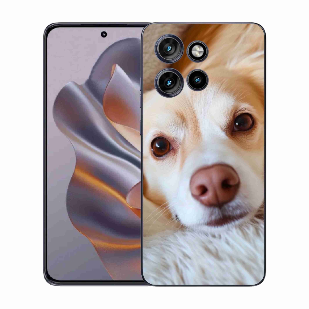 Zselés borítás mmCase a Motorola Edge 50 Neo készülékhez - Aranyos csivava