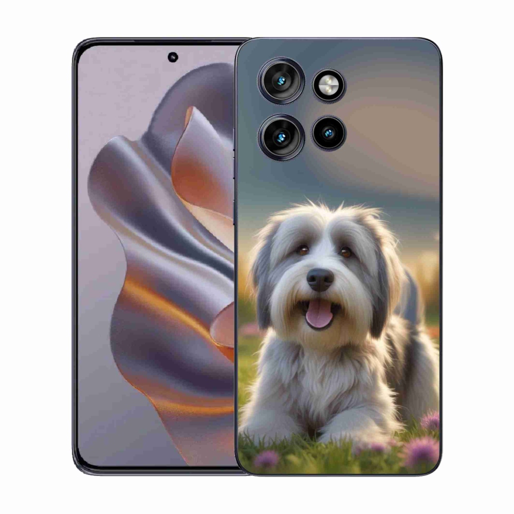 Zselés borítás mmCase a Motorola Edge 50 Neo készülékhez - aranyos havanese kutya