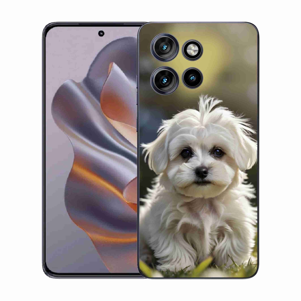 Zselés borítás mmCase a Motorola Edge 50 Neo készülékhez - aranyos máltai kutya