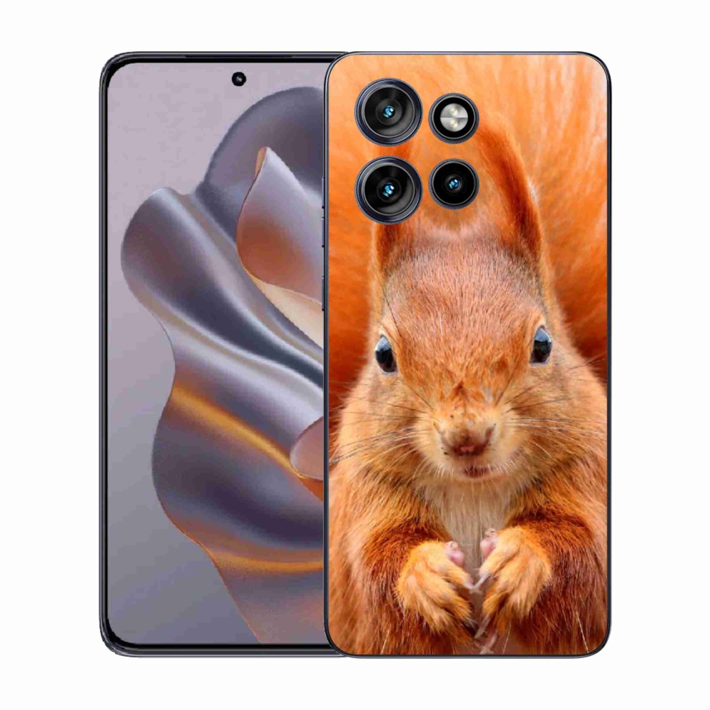 Zselés borítás mmCase a Motorola Edge 50 Neo készülékhez - mókus