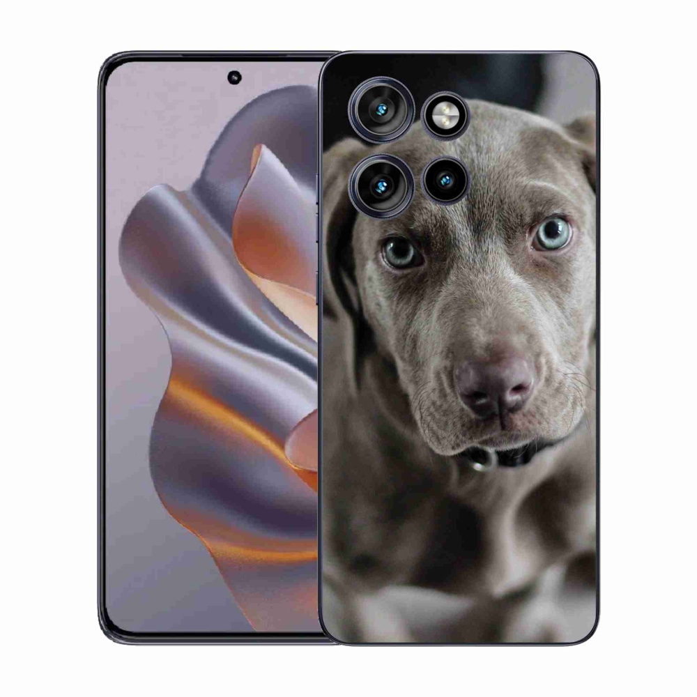 Zselés borítás mmCase a Motorola Edge 50 Neo készülékhez - Weimaraner