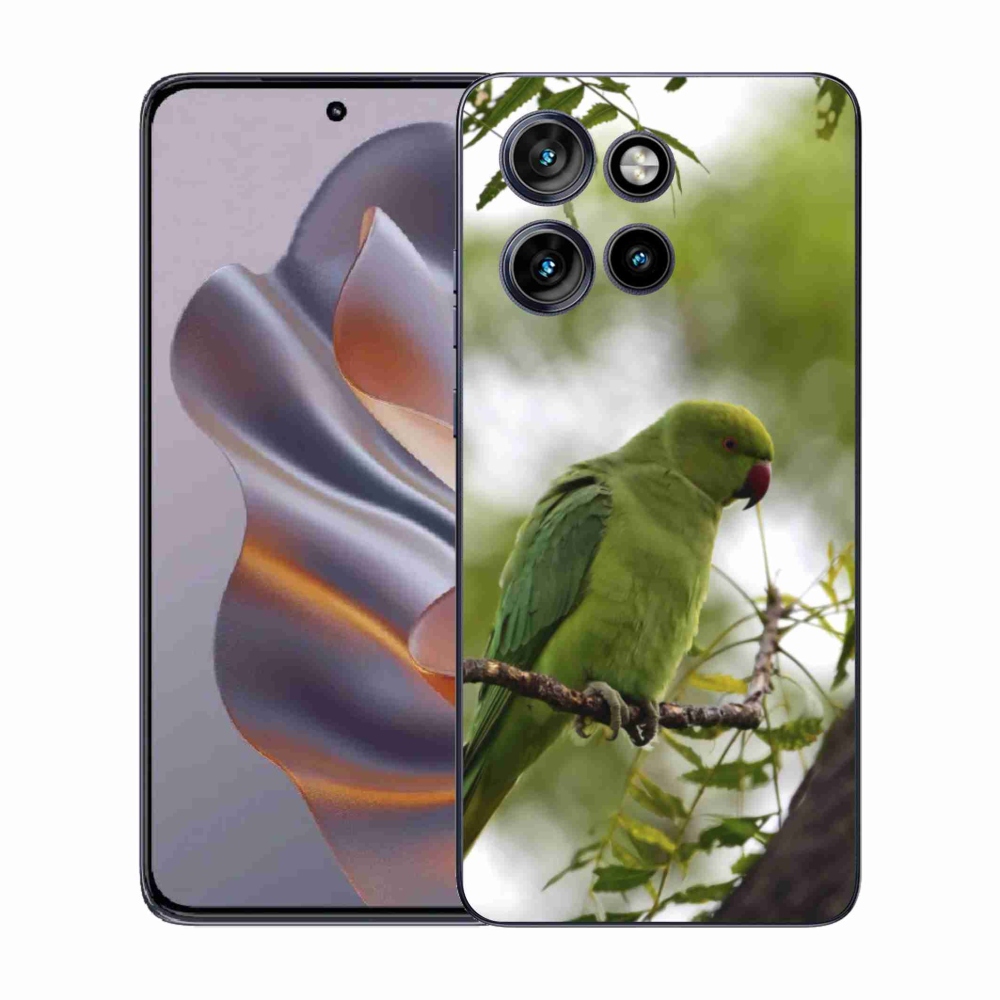 Zselés tok mmCase Motorola Edge 50 Neo készülékhez - zöld papagáj