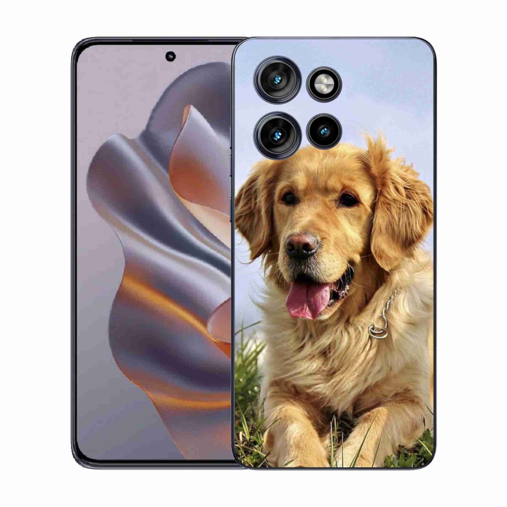 Zselés borítás mmCase a Motorola Edge 50 Neo készülékhez - golden retriever