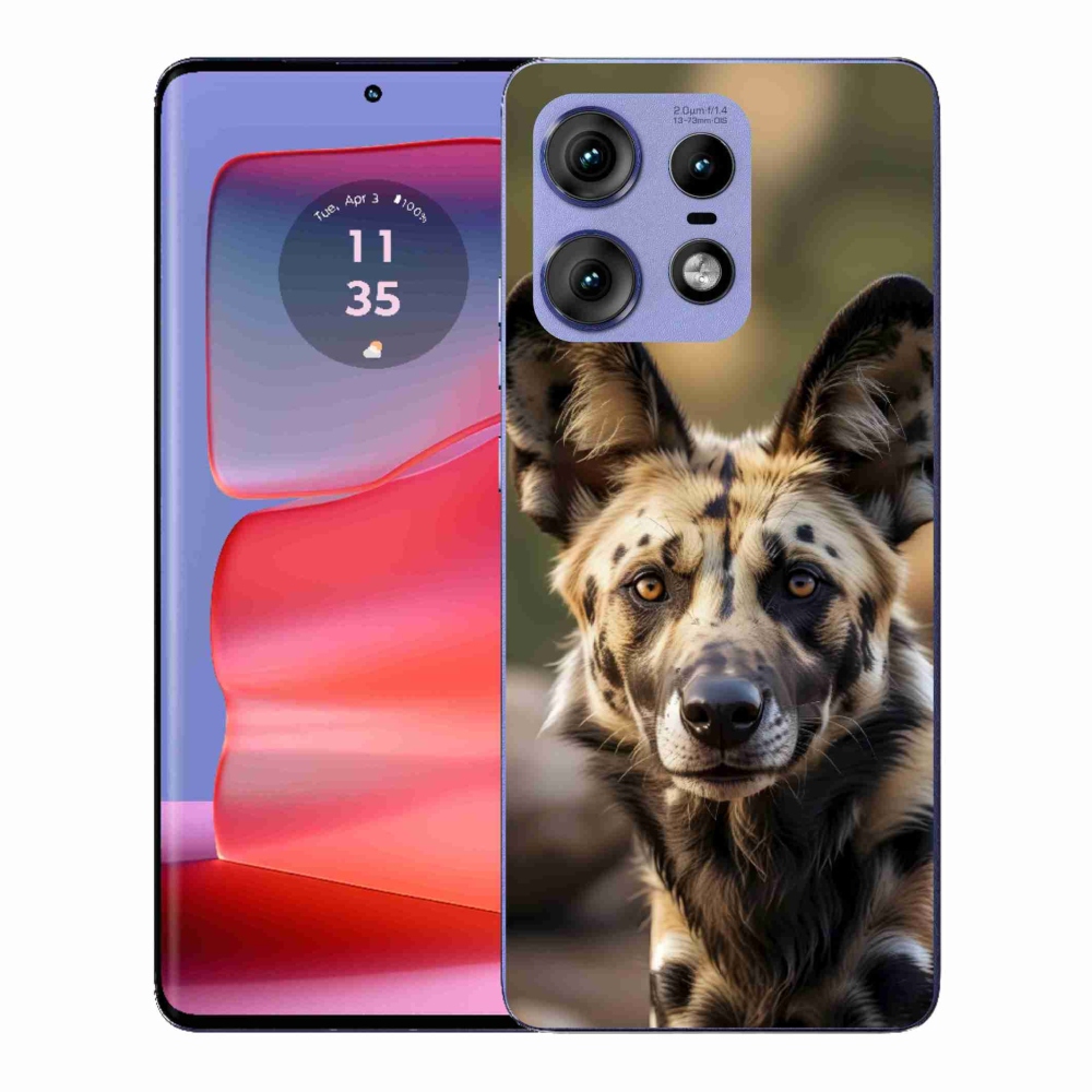 Zselés borítás mmCase a Motorola Edge 50 Pro készülékhez - Afrikai vadkutya