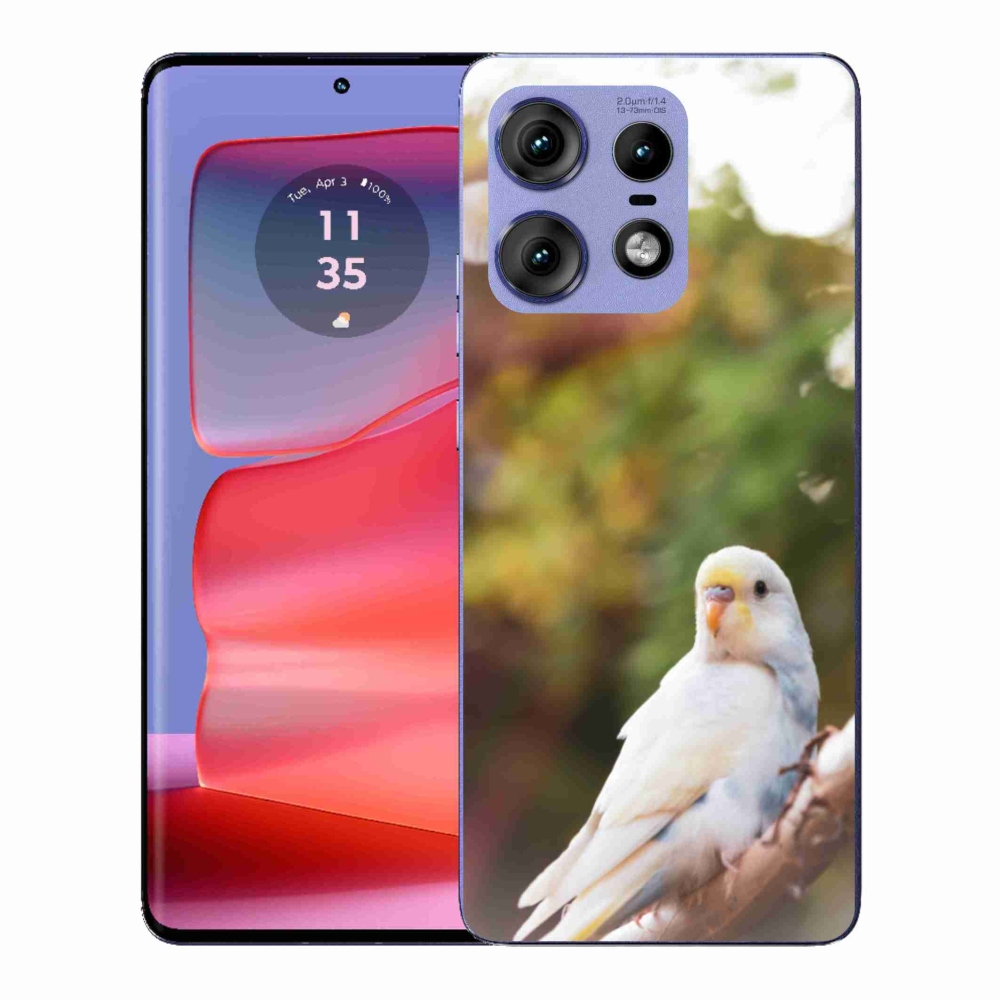 Zselés borítás mmCase a Motorola Edge 50 Pro készülékhez - andulka fehér