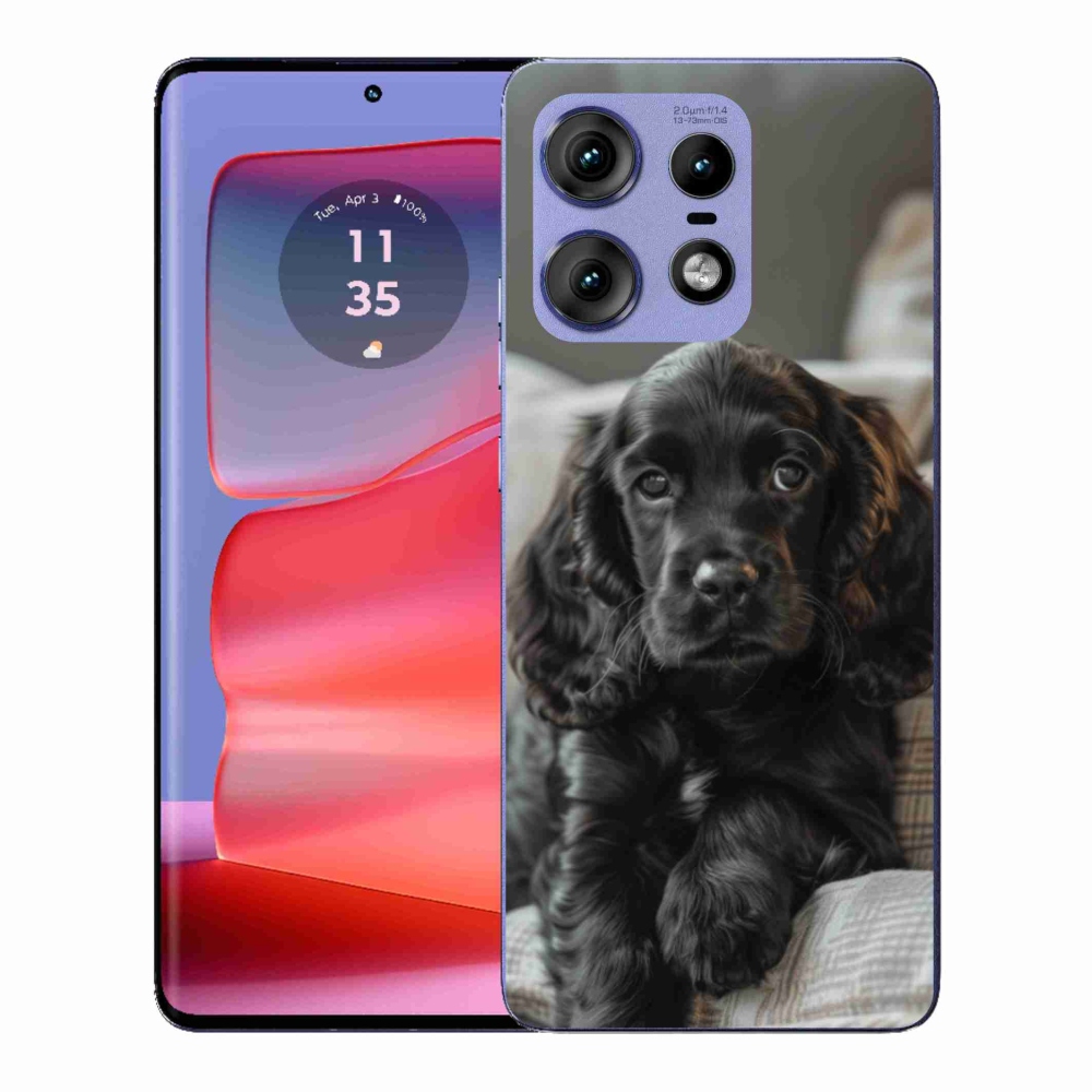 Zselés borítás mmCase a Motorola Edge 50 Pro készülékhez - English Cocker Spaniel