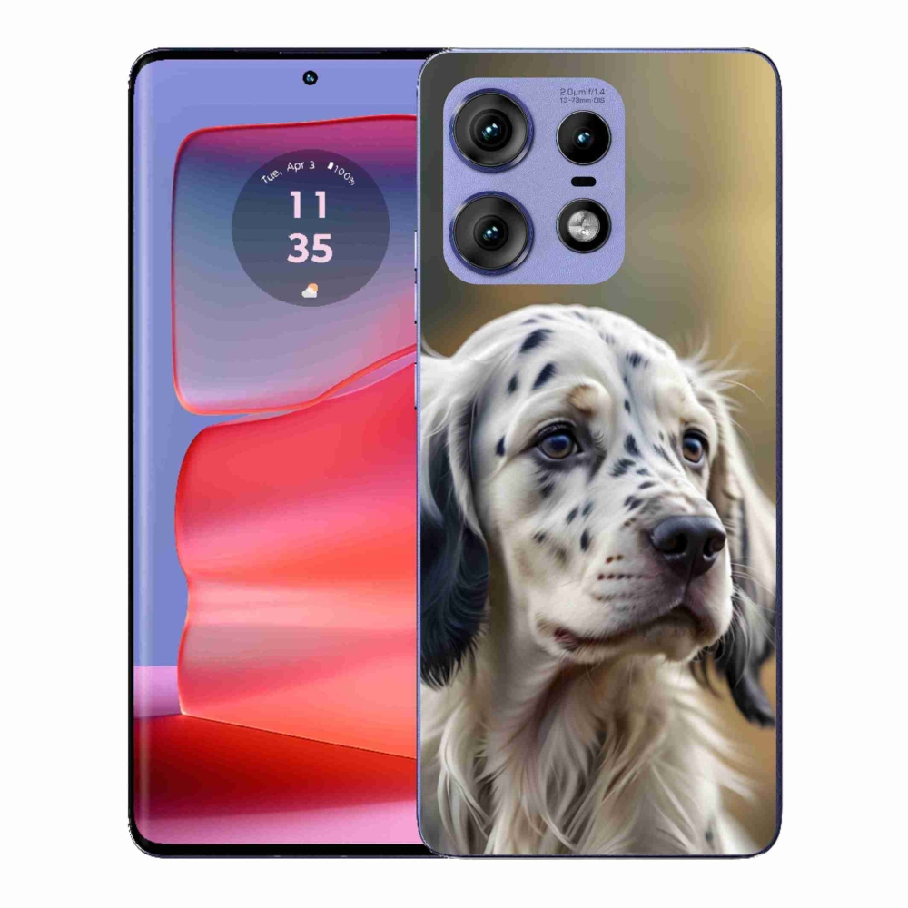 Zselés borítás mmCase a Motorola Edge 50 Pro készülékhez - English Setter
