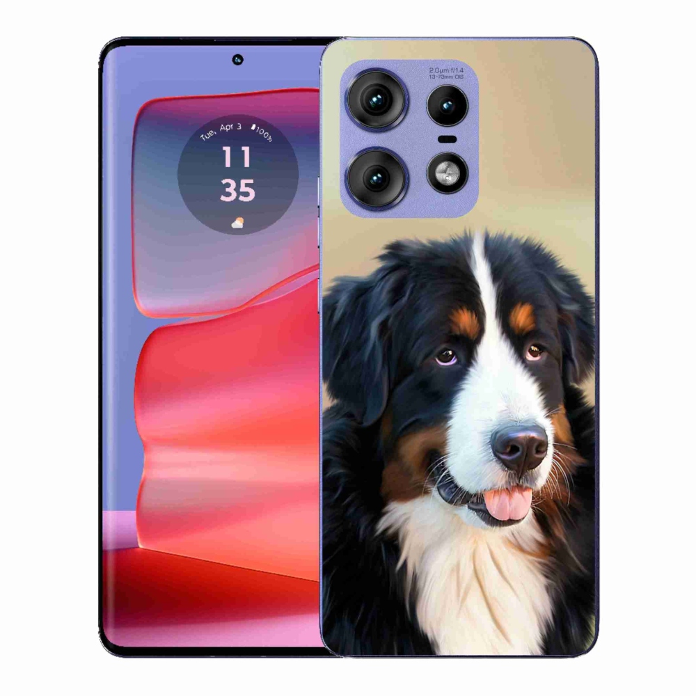 Zselés borítás mmCase a Motorola Edge 50 Pro készülékhez - Berni hegyi kutya