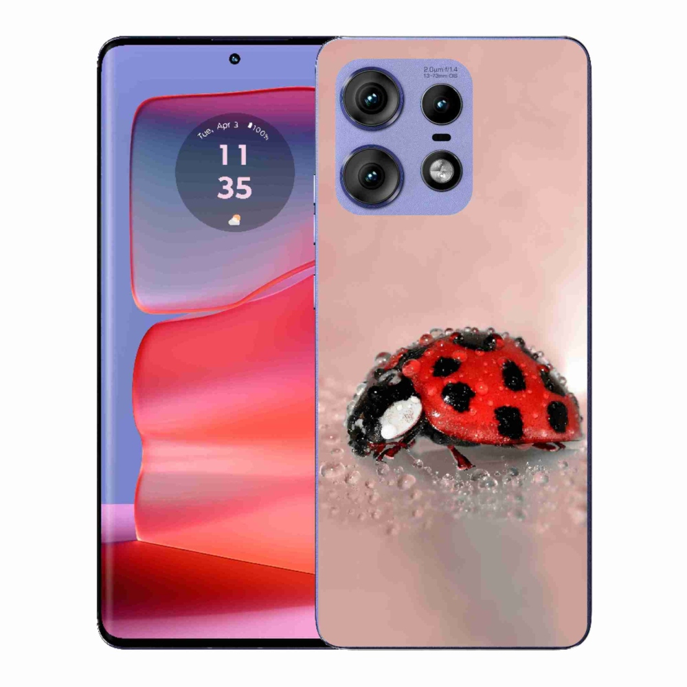 Zselés borítás mmCase a Motorola Edge 50 Pro készülékhez - katicabogár